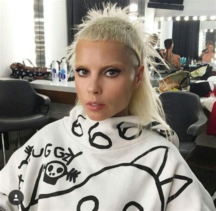 Yolandi Visser Net Worth 2024, Bio, Career The Frisky