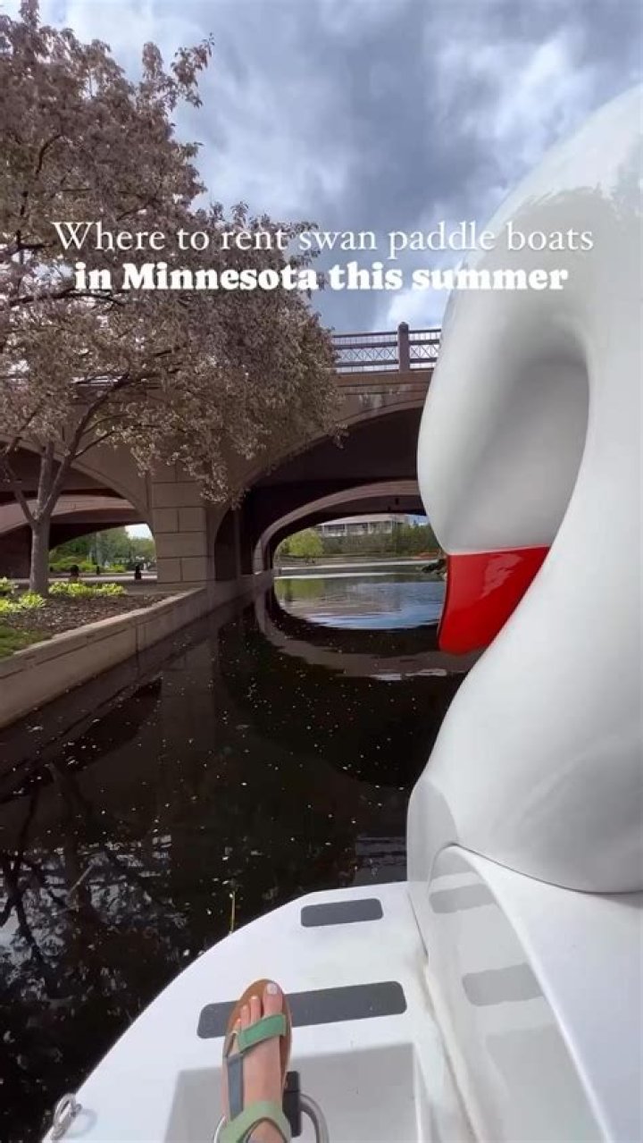 You Can Rent the Swan Home for 330 a Night