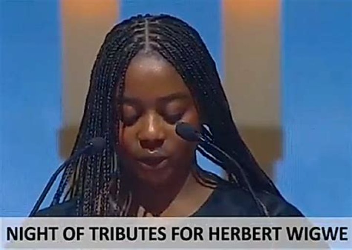 You&rsquo;re Simply Extraordinary Wigwe&rsquo;s Daughter Pays Tribute To Dad