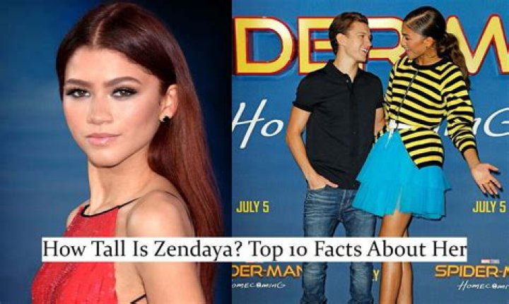 Zendaya Height / Zendaya Claps Back At BodyShamer Essence She is